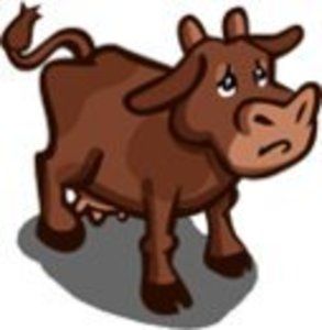 Meet your Posher, Terry